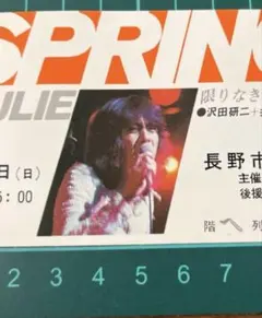 沢田研二 ジュリー ザ・タイガース 使用済みチケット 半券 昭和レトロ