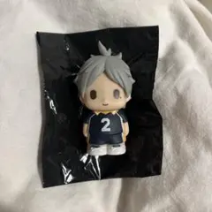 ハイキュー　ぱぺマス　菅原孝支