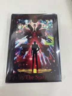 アクア@プロフ参照m(*_ _)m様 リクエスト 2点 まとめ商品