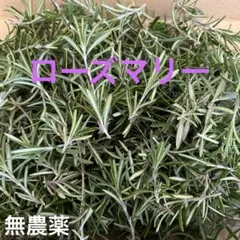 Item thumbnail for item a7146005-8639-4457-ae98-11aa8af7b3c0