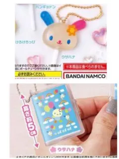 ウサハナ セット