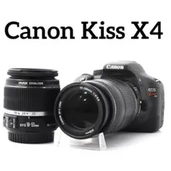 超望遠レンズデビュー✨Canon Kiss X4✨ダブルレンズ✨野球観戦に