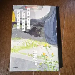 誰も知らないのら猫クロの小さな一生