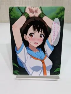 鑑賞用カード セクシーカード