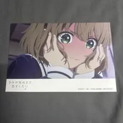 きみが死ぬまで恋をしたい アド街っぷ ポストカード トツキ・シーナ