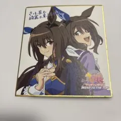ウマ娘　色紙　アドマイヤベガ　ROAD TO THE TOP RTTT