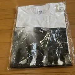 三代目J Soul Brothers Tシャツ　Mサイズ