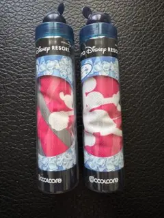 【新品2個セット】Disney Resort スポーツ冷感タオル