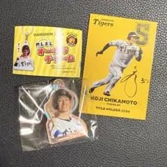 阪神タイガース めじるしオーロラチャーム　ベースボールカードセット 近本選手