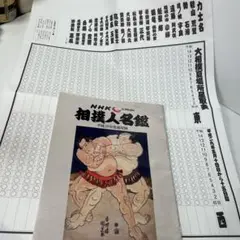 相撲人名鑑 平成29年度