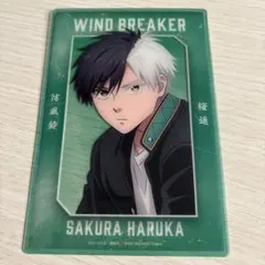 ウィンドブレーカー ベースヤードトーキョー クリアカード 桜遥