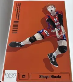 ハイキュー　Vリーグ　日向翔陽　A4ポスターコレクション