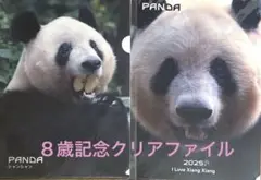 シャンシャンクリアファイル2枚