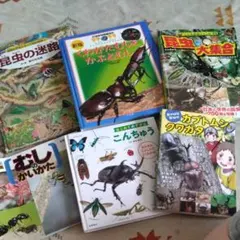 即購入可 昆虫図鑑 絵本 5冊セット 묶음 판매