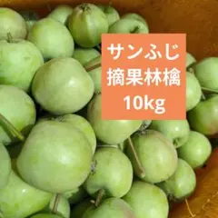 摘果りんご　加工用サンふじ林檎　約10キロ 送料込み 81のサムネイル