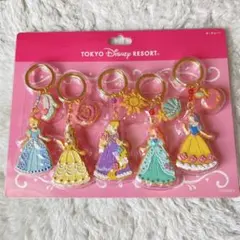 新品 未使用 東京ディズニーリゾート プリンセス キーホルダー 5個セット当時物