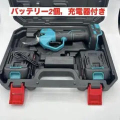 Item thumbnail for item 108c65bd-e4a5-4647-bf84-b8cd3139c055