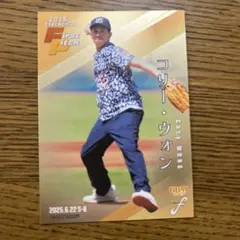 BBM FUSION 2025 コリー・ウォン 始球式カード 100枚限定