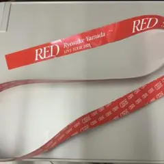 【ラス1】Ryosuke Yamada LIVE TOUR 2025 銀テープ