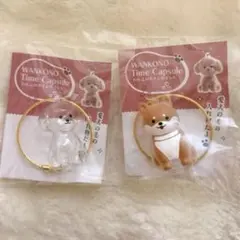 わんこのタイムカプセル　2個セット