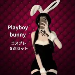 バニーガール 5点 セクシー コスプレ カチューシャ バニーちゃん うさぎ
