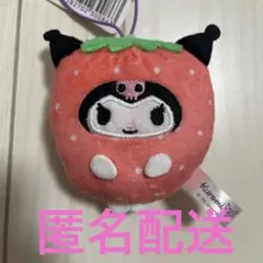 新品　サンリオキャラクターズ　フルーツきぐるみマスコット　いちご　クロミ