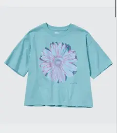 アンディ・ウォーホル フラワーズコレクション UT グラフィックTシャツ