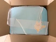 ポケモン　フィギュア　トランク