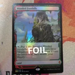 MTG Marsh Flats 湿地の干潟 Foil - メルカリ