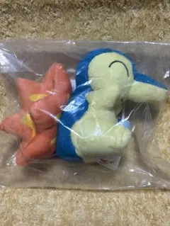 一番くじ Pokémon 30th vol.1 ぬいぐるみ ヒノアラシ - メルカリ