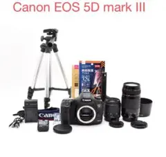 デジタル一眼レフカメラ Canon EOS 5D Mark IV望遠レンズセット - メルカリ