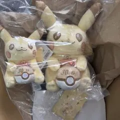 Item thumbnail for item 6f0ac828-c448-4935-a6f7-8ba30251a0b9