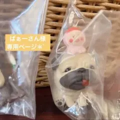 【シークレット　ガルシア & カクレモモジリ】モクモドキオオコビト　こびとづかん