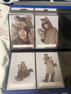 どうぶつ着ぐるみ衣装　生写真　櫻坂46 小島凪紗　コンプ