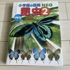 小学館の図鑑　NEO 昆虫 2 地球編