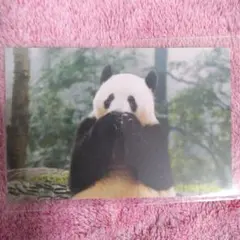 ☆*✨様 リクエスト 2点 まとめ商品