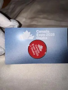 Item thumbnail for item e5c966b5-935e-4c1e-b5a5-f3e098155dc7