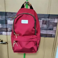 ワンちゃん用キャリーリュック　メッシュになっていてワンちゃんも景色が見れます。