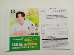 キッコーマン目黒蓮懸賞はがき【15枚】