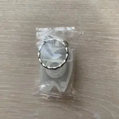 Item thumbnail for item ce410b2b-f149-4318-a737-b48fb34a593f