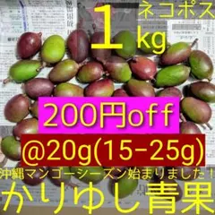 2026年最新】摘果マンゴーの人気アイテム - メルカリ