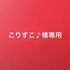 こりすこ♪様 リクエスト 4点 まとめ商品