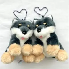 柴犬 黒柴 ぬいぐるみ マスコット キーホルダー 2個セット
