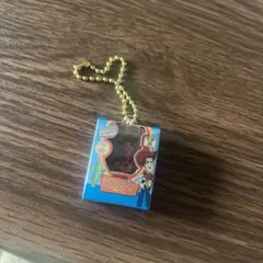 ウッディ ミニチュアパッケージコレクション