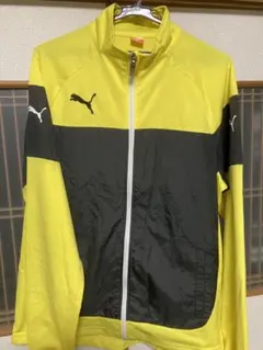 Item thumbnail for item 273a5bf8-92db-47c1-a988-7e292192e7e8