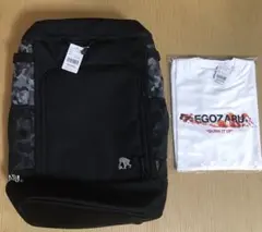 Item thumbnail for item ce1014e0-dff3-4600-b241-44a6ab08cf08