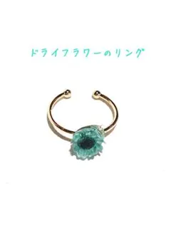 Item thumbnail for item d3ee01fd-550d-4109-88c7-7d8a783bfa47