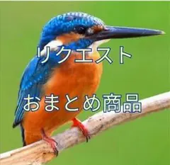 メグメグ様 リクエスト 2点 まとめ商品