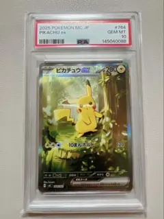 2026年最新】PIKACHU鑑定状況の人気アイテム - メルカリ