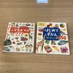 ずかん セット
